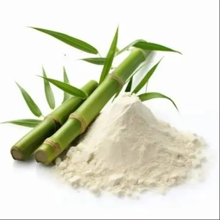 Green bamboo plant extract illustration