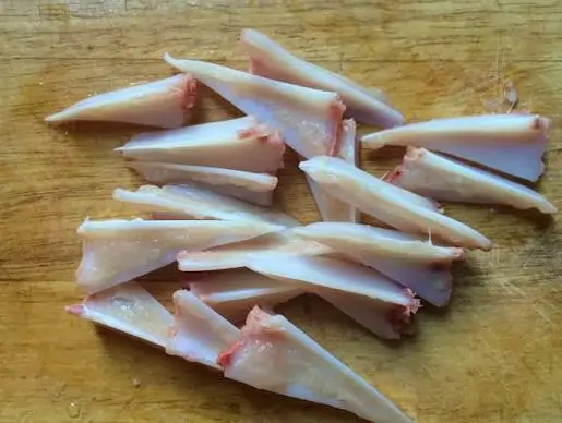 Chicken cartilage collagen source illustration