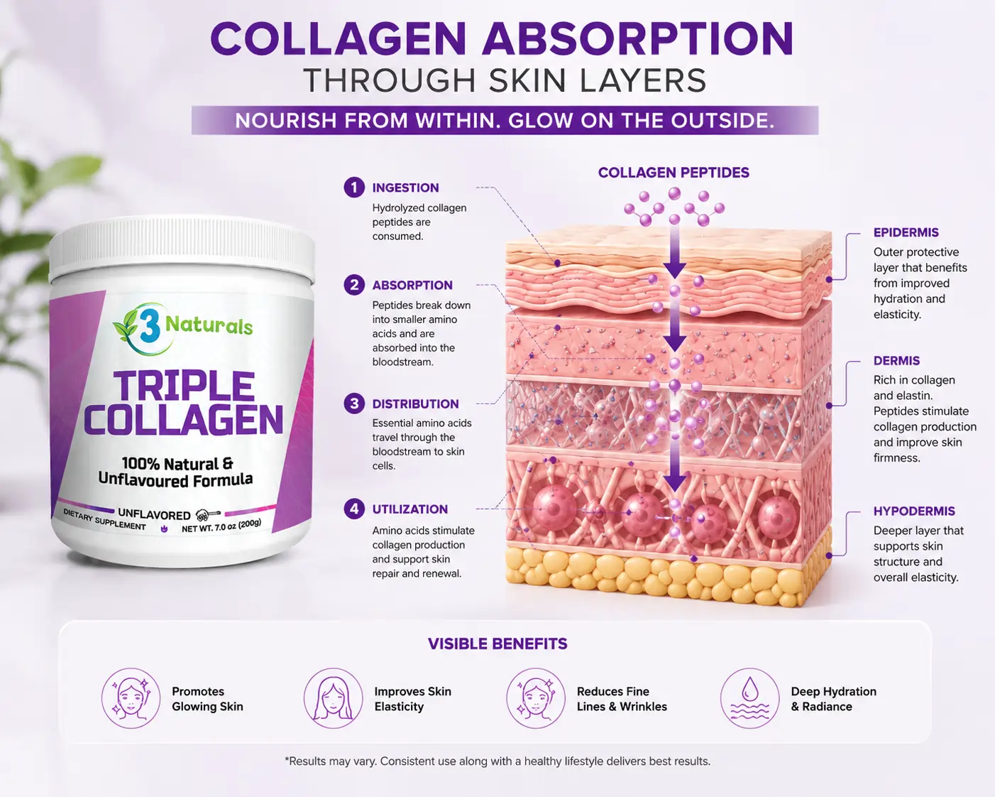 Diagram showing collagen absorption through skin layers